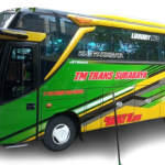 Bus_TM_Trans-removebg-preview