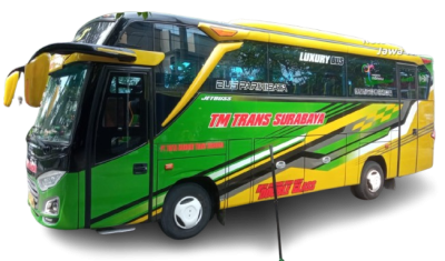 Bus_TM_Trans-removebg-preview